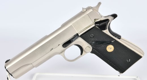 Colt Government MKIV Stainless 70 Series .45 ACP