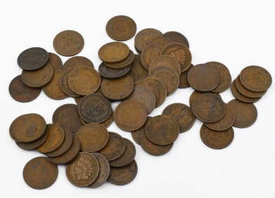 63 Count Of Collector Indian Head Wheat Pennies