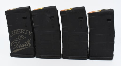65 Rds of .308 & 4 Polymer 20 Rd Magazines