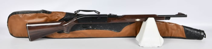 Remington Nylon 66 Mohawk Brown Rifle .22 LR