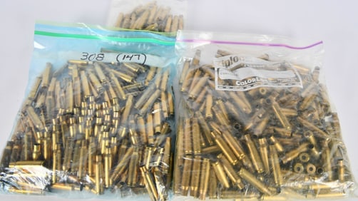 Approx 9 Lbs of Empty .308 Win Brass Casings