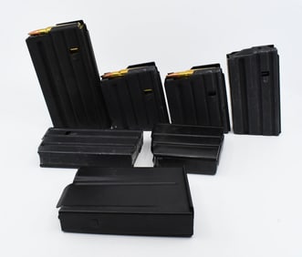 31 Rounds Of .308 Win Ammo & Magazines