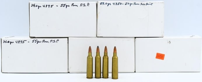 100 Rounds .22-250 Rem Ammunition
