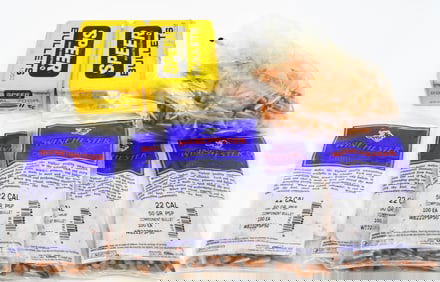 500+ Count Of .22 Caliber Reloading Bullet Tips