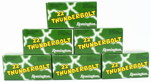 300 Rounds Of Remington .22 LR Ammunition