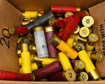Large Lot of Various Plastic Shotshells