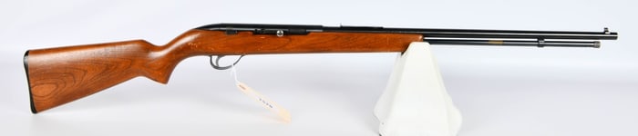 Sears Roebuck Model 25 Semi Auto Rifle .22