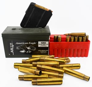 Mixed Variety Lot of Ammunition & Brass Casings