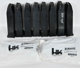(10) HK Heckler & Koch Factory USP45 12 round