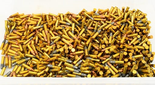 1000 Rounds Mixed .22 LR Ammunition