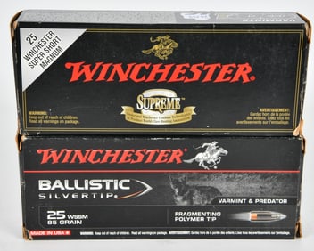40 rd Winchester 25 WSSM 85 gr ammunition