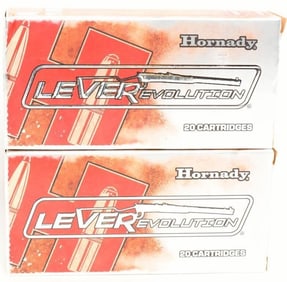 40 Rounds of Hornady .45-70 GOVT Ammunition