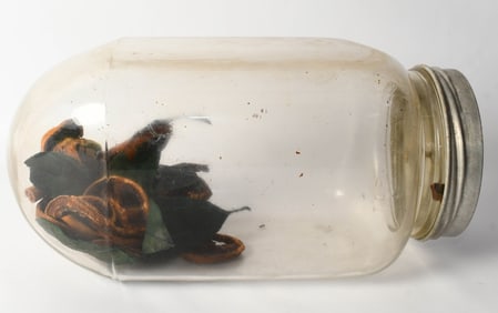 RARE Vintage/Antique Aridor Glass Jar w/drying pu