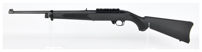 Ruger Model 10/22 Carbine, .22 LR Caliber