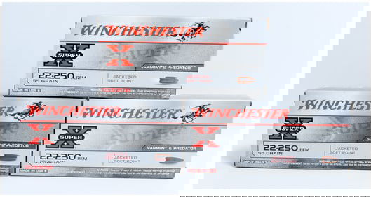 Winchester Super X 22-250 Rem 55Gr Jacketed Soft Point Varmint & Predator Ammunition, 60 Rounds