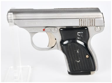 Sterling Arms Model 302 .22 LR Stainless Semi-Automatic Pistol