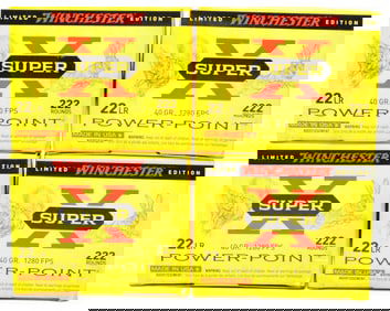 Winchester Super-X .22LR 40 Grain Power-Point Copper Plated Hollow Point Ammunition, Limited