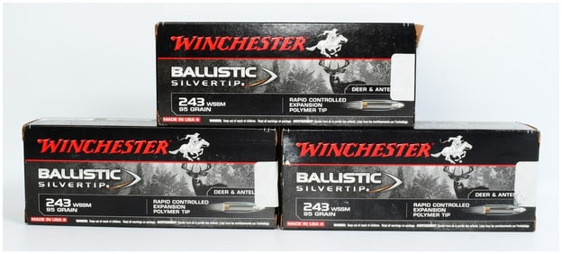 Win Ballistic Silvertip .243 WSSM 95 Grain Ammo 60 Rounds