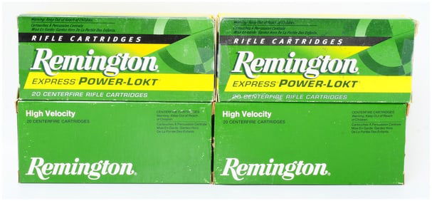 Rem 17 Rem 25 GR POWER-LOKT Hollow Point Rifle Ammo 80 Rounds