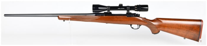 Ruger M77 Bolt-Action Sporting Rifle .25-06 REM. with 24" Barrel and Bushnell Scope