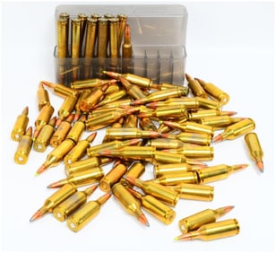 Ammo Lot: 64 Rounds .223 WSSM & 11 Rounds .250 Wby Mag with MTM Case-Gard Box