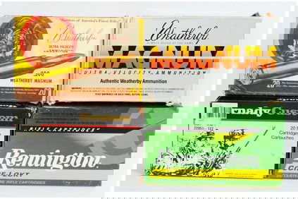 .300 Wby Mag Rifle Ammo by Wby Hornady and Rem