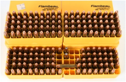 A Lot of 184 Mixed Ammunition Cartridges in Flambeau Handgun .38 Special Storage Containers