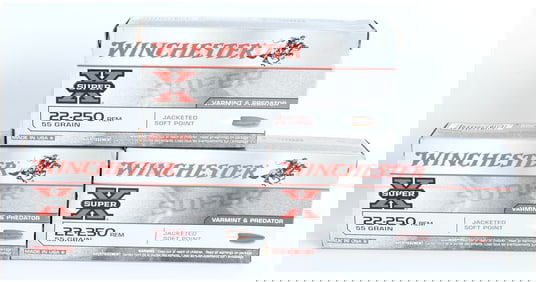 Winchester Super X Varmint & Predator .22-250 Remington Ammunition 55 Grain Jacketed Soft Point Lot