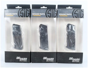 A Trio of Sig Sauer Compact .380 ACP 12-Round OEM Pistol Magazines