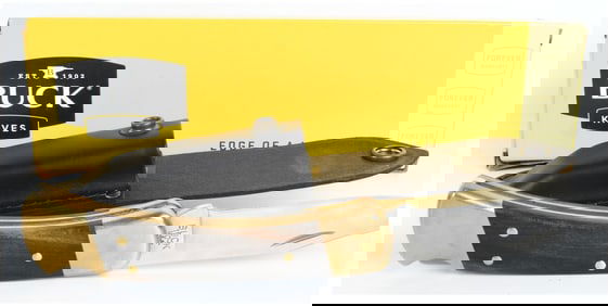 Buck Knives 110 Folding Hunter Knife with Leather Sheath and Box