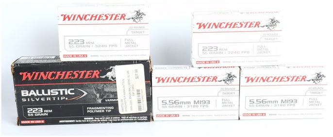 Winchester Ammunition Lot, .223 Rem Ballistic Silvertip and 5.56mm M193, 100 Rounds, Modern