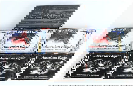 Hornady and Federal American Eagle .223 Rem and 5.56x45mm Ammunition, 140 Rounds, Contemporary