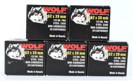 Wolf Performance Ammunition 7.62x39mm 122 Grain FMJ Steel Case 100 Rounds Modern
