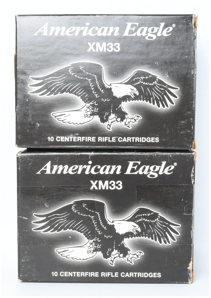 A Lot of 20 Rounds Federal American Eagle XM33C Ammunition .50 BMG (1 of 4)