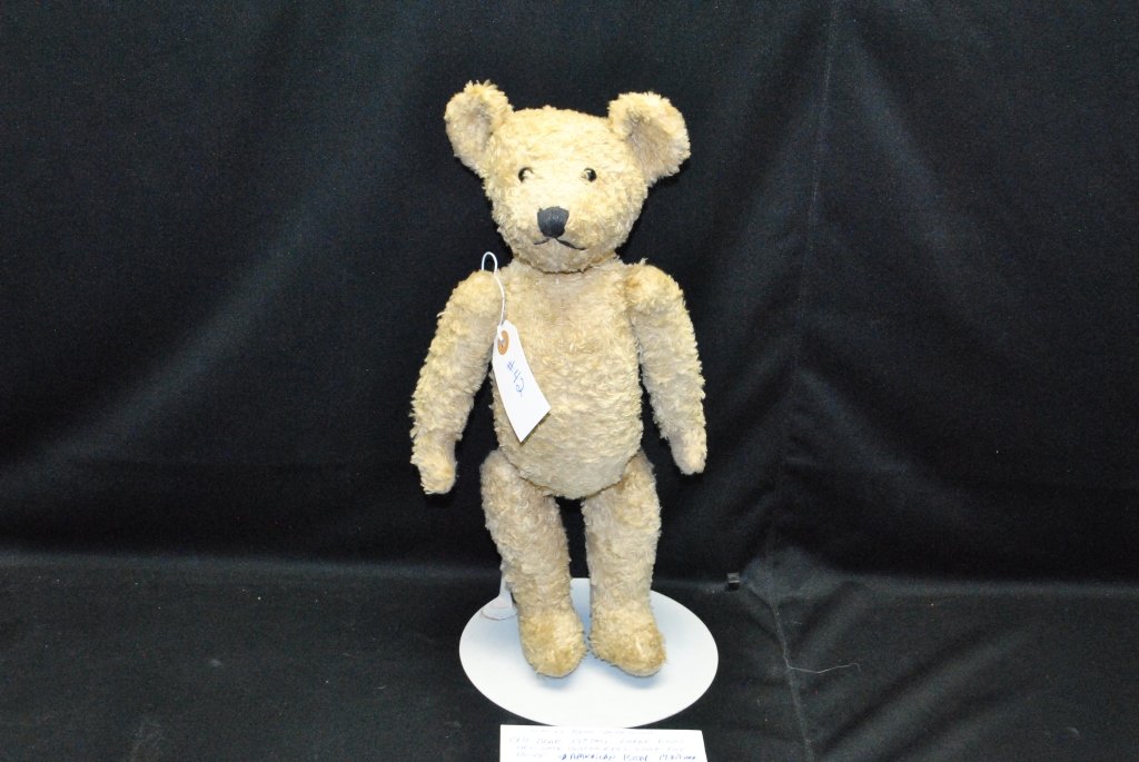 American bear 1930's Wooley bear 15": taupe color, new shoe button eyes, long fat body paid $300.00 at the San Jose Doll Show Sept 13, 1997 from Mary's antiques, they said he came from New Mexico