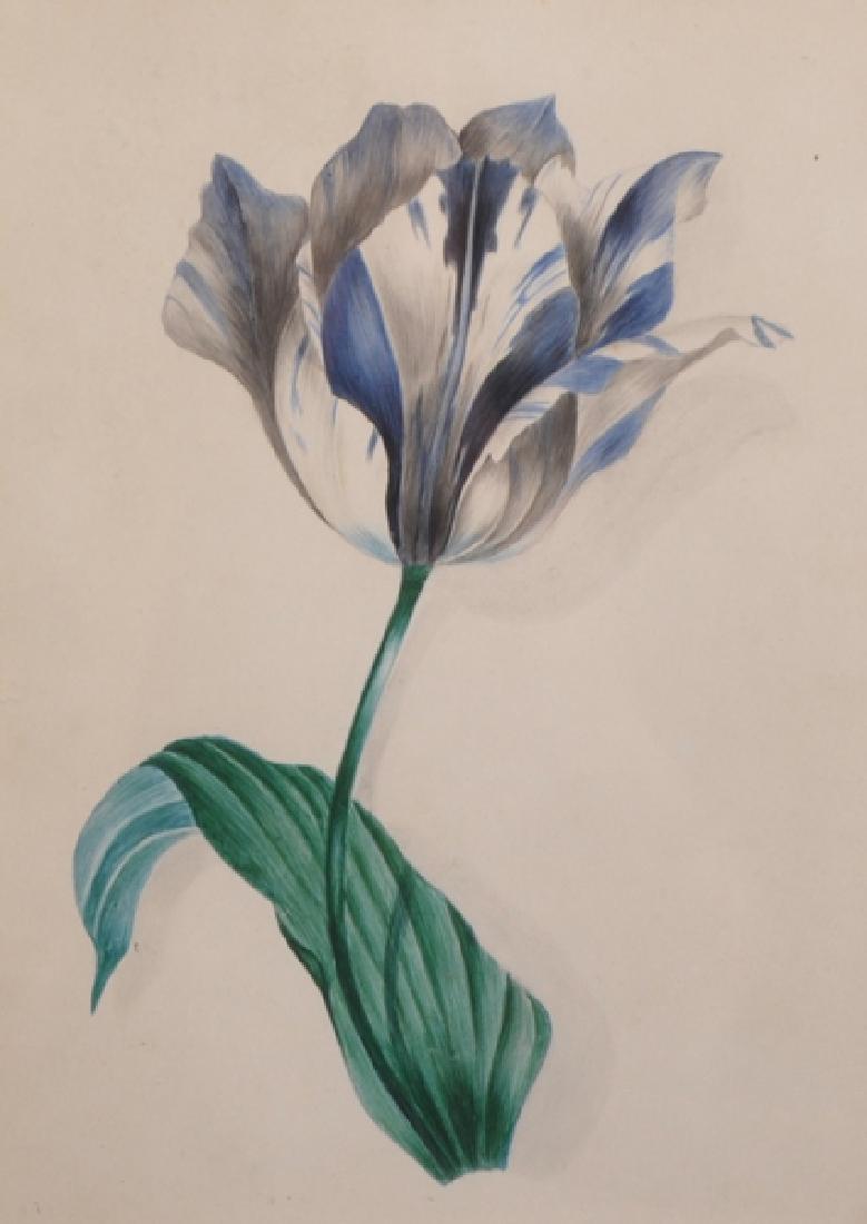 Follower of Pierre-Joseph Redoute (1759-1840) French. (1 of 3)