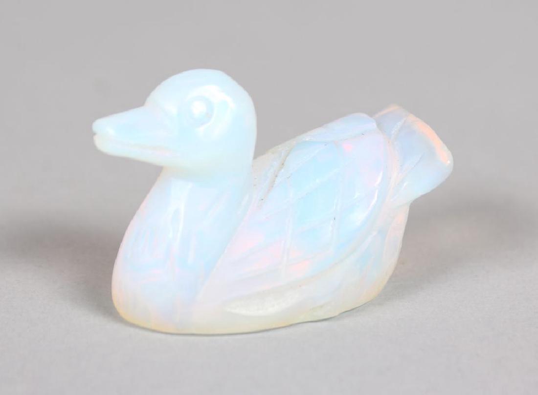 A SMALL SABINO DUCK. 2ins.: A SMALL SABINO DUCK. 2ins.