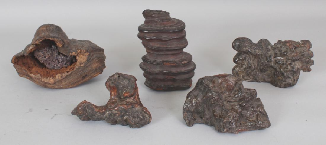 A NATURAL PIECE OF LINGZHI, 4.75in high; together with: A NATURAL PIECE OF LINGZHI, 4.75in high; together with four other natural wood and lingzhi pieces. (5)