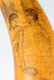 A PAIR OF MAORI FINELY CARVED HORN SCRIMSHAW POWDER - 2