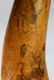 A PAIR OF MAORI FINELY CARVED HORN SCRIMSHAW POWDER - 3