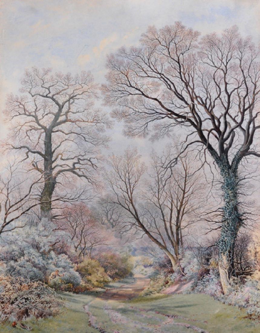 James Matthews (19th-20th Century) British. A Tree (1 of 5)