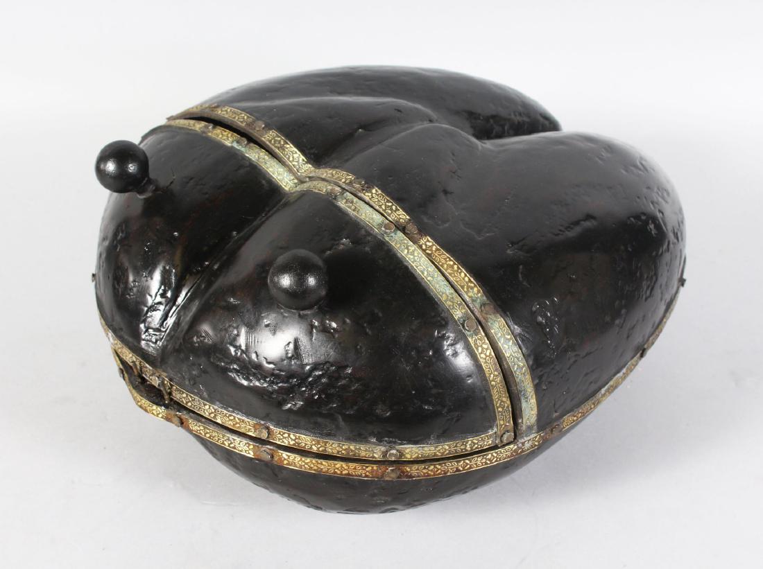 A GOOD LARGE COCO DE MER, with removable section and (1 of 1)