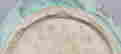 item-65117446=8