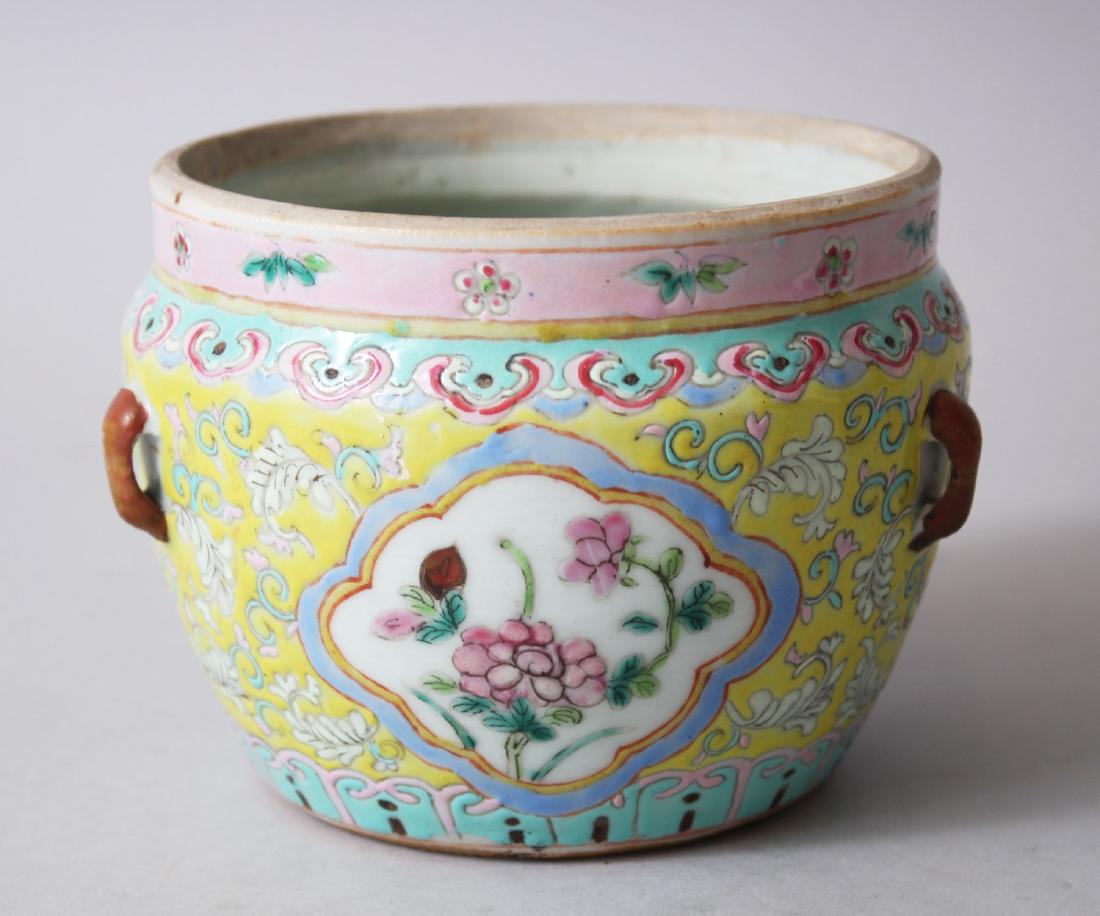 A 19TH CENTURY CHINESE FAMILLE ROSE CENSOR FOR STRAITS: A 19TH CENTURY CHINESE FAMILLE ROSE CENSOR FOR STRAITS MARKET, with a lappet style lower border on a yello ground, panels of native flora beneath a ruyi head border, 10cm high x 13.5cm diameter.