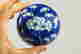 item-71934460=6