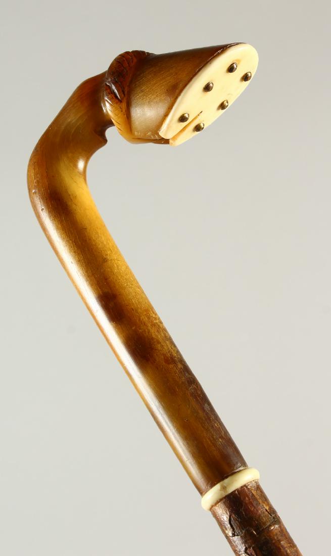 A HORN HANDLED WALKING STICK, with carved horse hoof: A HORN HANDLED WALKING STICK, with carved horse hoof handle. 85cm long.