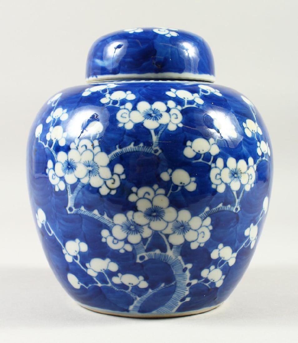 A 19TH CENTURY CHINESE BLUE & WHITE PORCELAIN PRUNUS: A 19TH CENTURY CHINESE BLUE & WHITE PORCELAIN PRUNUS GINGER JAR & COVER, the base with a double blue ring, 19cm high x 17cm wide.