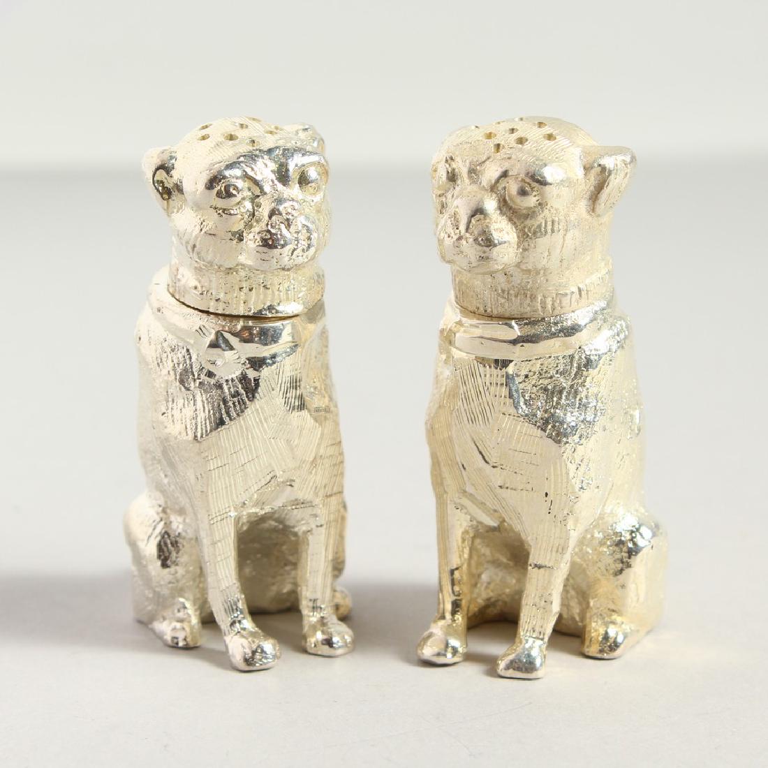 A PAIR OF PLATED DOG SALT AND PEPPERS. 6cms high.: A PAIR OF PLATED DOG SALT AND PEPPERS. 6cms high.