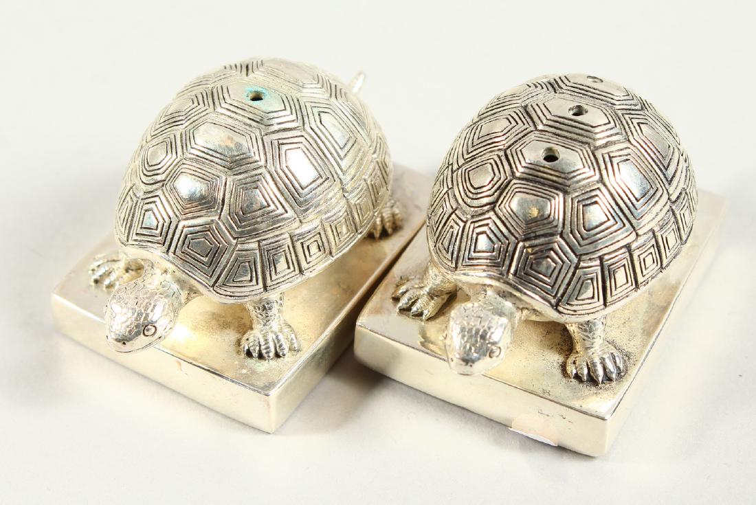 A SMALL PAIR OF NOVELTY .800 TURTLE SALT AND PEPPERS.: A SMALL PAIR OF NOVELTY .800 TURTLE SALT AND PEPPERS. 5.5cms long.