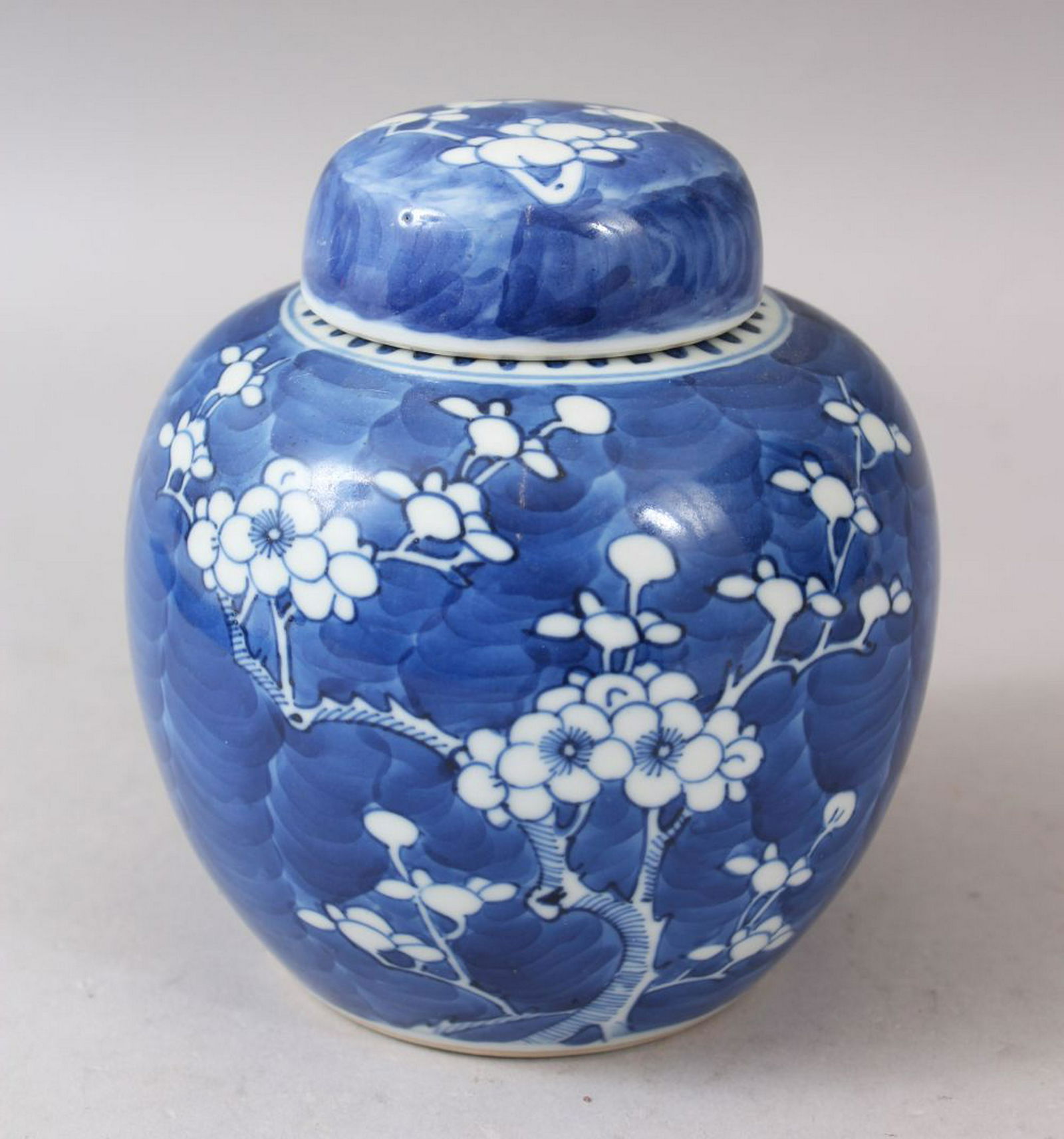 A SMALL 19TH CENTURY CHINESE BLUE AND WHITE PRUNUS (1 of 6)